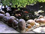 Rock border around the pond